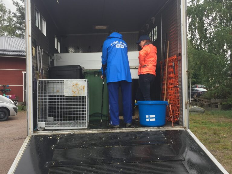 Peden Bloodstock ja paperibyrokratia