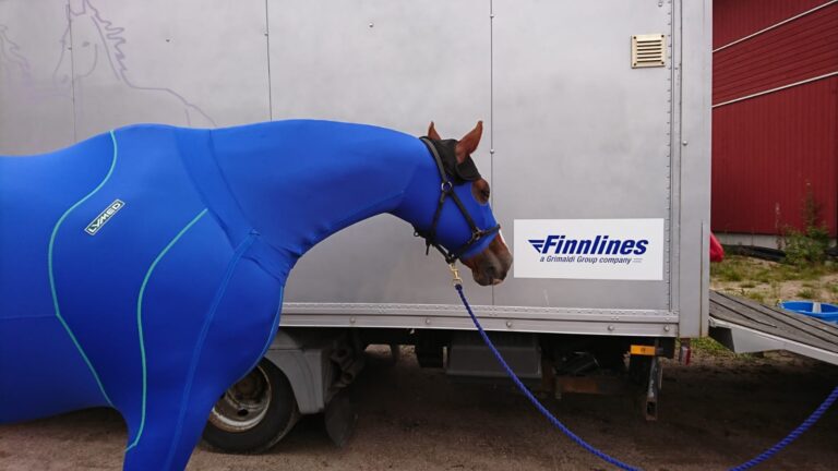 Toopen tukihoidot MM-matkalla; painepuku ja BioLight-equine