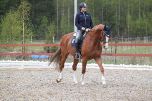 Harjoituskisat kotitallilla 2016 Harjoituskisat kotitallilla 2016