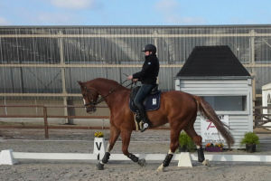 Dr Doolittle eli "Toope". Waregem, Belgia 2015 Dr Doolittle eli "Toope". Waregem, Belgia 2015