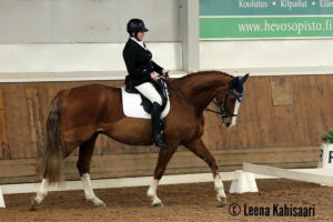 Dr Doolittle eli "Toope". Ypäjä 2018 Dr Doolittle eli "Toope". Ypäjä 2018