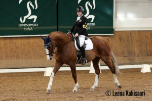 Dr Doolittle eli "Toope". Ypäjä 2018 Dr Doolittle eli "Toope". Ypäjä 2018